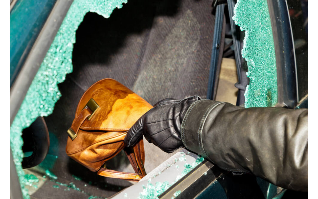 Handbag Safety 101